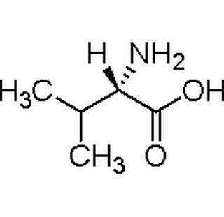 L-缬氨酸 CAS: 72-18-4 中药对照品标准品