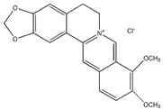 盐酸小檗碱 CAS：633-65-8 中药对照品 标准品