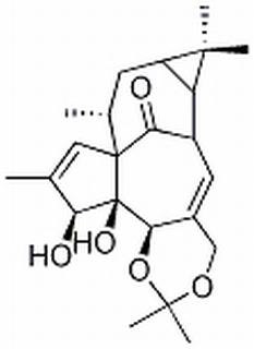 巨大戟醇-5,20-缩丙酮 CAS：77573-43-4 中药对照品标准品