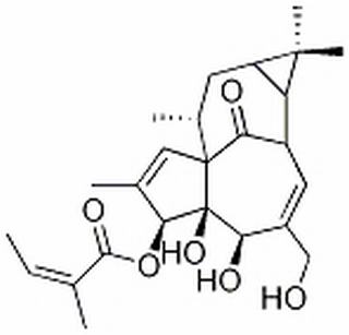 巨大戟醇-3-O-当归酸酯 CAS：75567-37-2 中药对照品标准品