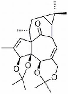 巨大戟醇-3,4:5,20-双缩丙酮 CAS：77573-44-5 中药对照品标准品