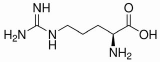 L-精氨酸 CAS：74-79-3 中药对照品标准品