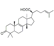 β-榄香酮酸 CAS：28282-25-9 中药对照品 标准品