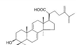 脱氢齿孔酸 CAS：6879-05-6 中药对照品标准品