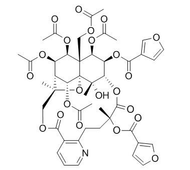 Triptonine B CAS：168009-85-6 中药对照品标准品