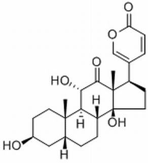 沙蟾毒精 CAS：464-74-4 中药对照品标准品