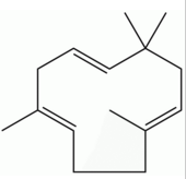 α-石竹烯 CAS：6753-98-6 中药对照品标准品