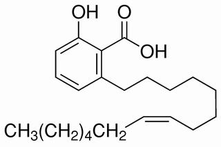 银杏酚酸（15:1） CAS：22910-60-7 中药对照品标准品