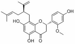 异南五味子木脂宁 CAS：82467-52-5 中药对照品标准品