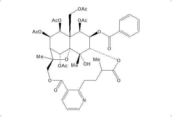 雷公藤次碱 CAS：11088-09-8 中药对照品 标准品