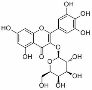 杨梅素-3-O-半乳糖苷 CAS：15648-86-9中药对照品标准品