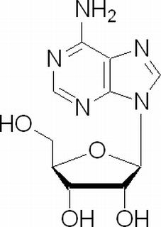 腺苷 CAS：58-61-7 中药对照品标准品