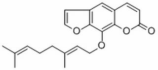 8-香叶草氧基补骨脂素 CAS：7437-55-0 中药对照品标准品