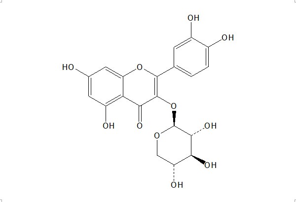 槲皮素-3-O-β-D-木糖甙 CAS：549-32-6 中药对照品 标准品
