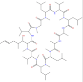 环孢菌素D CAS：63775-96-2 中药对照品 标准品