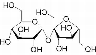 蔗糖 CAS：57-50-1 中药对照品标准品