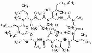 环孢菌素A CAS：59865-13-3 中药对照品 标准品