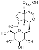 京尼平苷酸 CAS：27741-01-1 中药对照品标准品