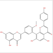 7-去甲基银杏双黄酮 CAS：521-32-4 中药对照品标准品