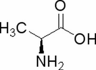 L-丙氨酸 CAS：56-41-7 中药对照品标准品