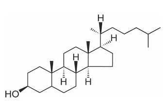 二氢胆固醇 CAS：80-97-7 中药对照品标准品