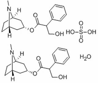 硫酸阿托品-水物 CAS：5908-99-6 中药对照品标准品