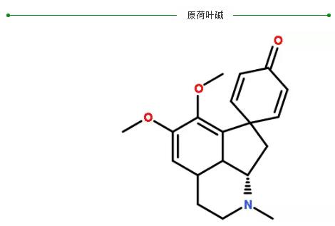 原荷叶碱