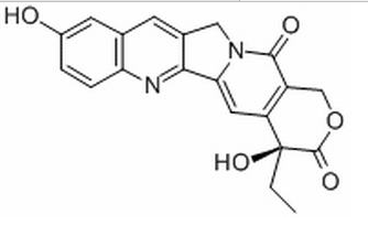 10-S-羟基喜树碱 CAS：19685-09-7 中药对照品标准品