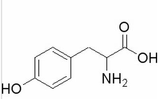  DL-酪氨酸 CAS：556-03-6 中药对照品标准品