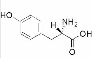  L-酪氨酸 CAS： 60-18-4 中药对照品标准品