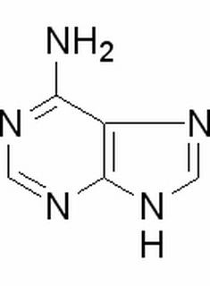腺嘌呤 CAS：73-24-5 中药对照品标准品