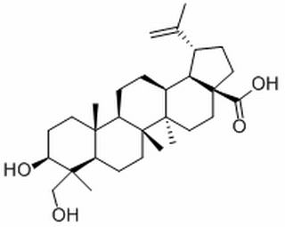 23-羟基白桦酸 CAS：85999-40-2 中药对照品标准品