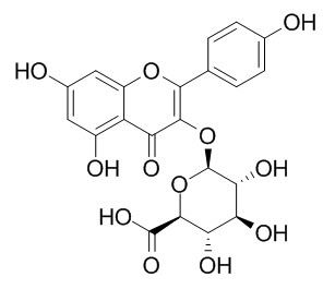山奈酚葡萄糖醛酸苷 CAS：22688-78-4 中药对照品标准品	