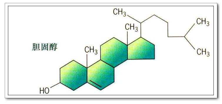 胆固醇化学式