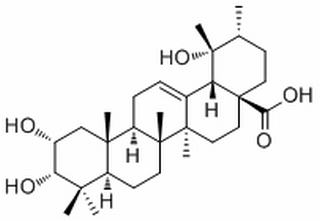 野鸦椿酸(蔷薇酸) CAS : 53155-25-2 中药对照品