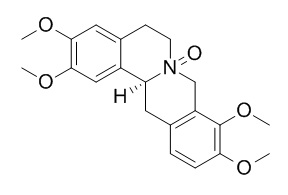 延胡索乙素 N氧化物