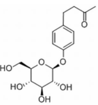 覆盆子酮葡萄糖苷CAS：38963-94-9 中药对照品标准品