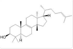 大戟二烯醇,大戟甾醇CAS：514-47-6 中药对照品标准品