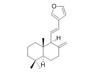 狗牙花碱E CAS：117591-81-8 中药对照品标准品