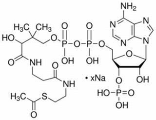 乙酰辅酶A CASA号：102029-73-2 对照品 标准品