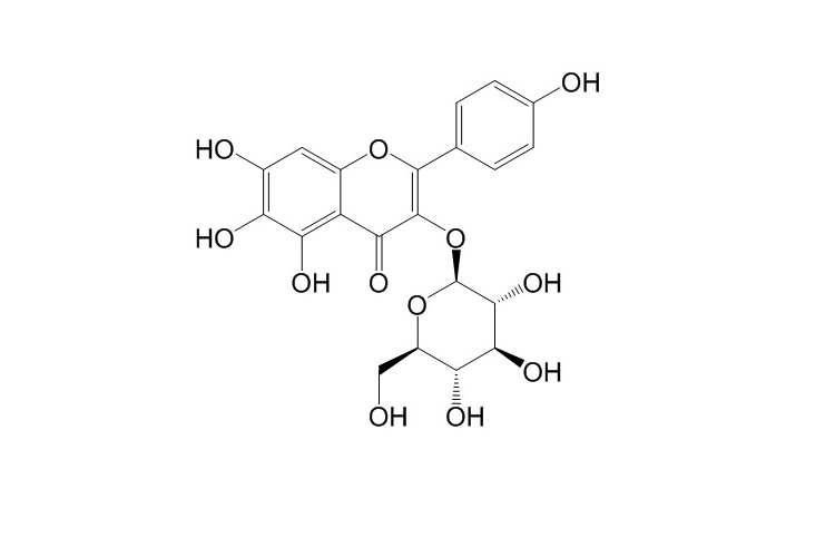 6-羟基山柰酚-3-O-β-D-葡萄糖苷 CAS号：145134-61-8 对照品标准品