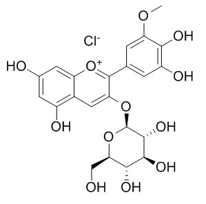 矮牵牛素-3-O-葡萄糖苷 CAS号：6988-81-4 对照片 标准品