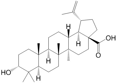 表白桦脂酸（3-表白桦脂酸） CAS号：38736-77-5 对照品 标准品