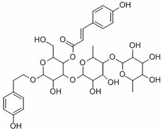 紫茎女贞苷B CAS号：147396-02-9 中药对照品标准品