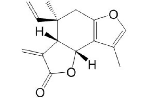 异乌药内酯 丨CAS No.957-66-4
