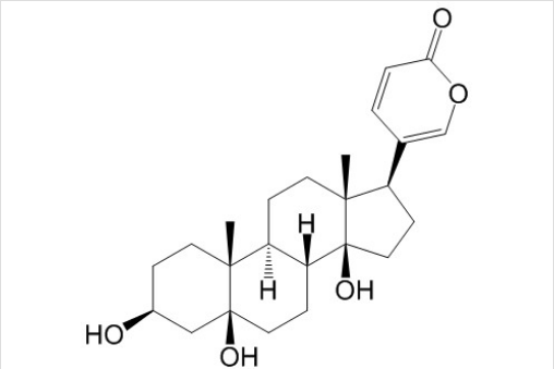 远华蟾蜍精 丨CAS No.472-26-4