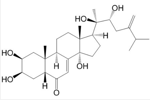 猪苓酮B 丨CAS No.141360-89-6