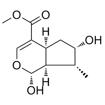马钱苷元 CAS：29748-10-5 中药对照品标准品