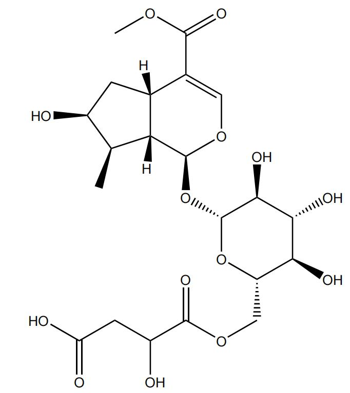 Logmalicids C丨DL0490