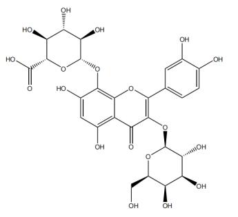 棉花皮素-3-O-β-D-半乳糖-8-O-β-D-葡萄糖醛酸苷